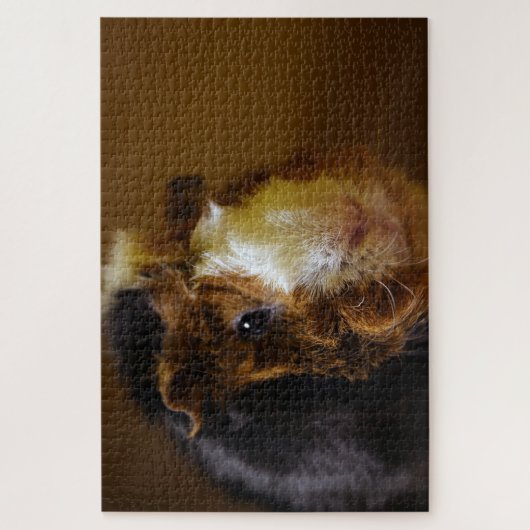 Schöne Guinea Pig, Jigsaw Puzzle (Vertikal)