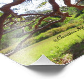 Schöne Gumbo Limbo Bäume Sun Print Fotodruck (Ecke)