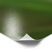 Schöne, halb blühende goldene Tigerlilie Fotodruck (Ecke)