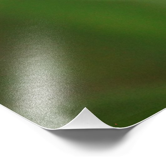 Schöne, halb blühende goldene Tigerlilie Fotodruck (Ecke)