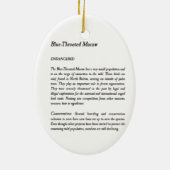 Schöne handbemalte, gefährdete Maca Keramik Ornament (Hinten)