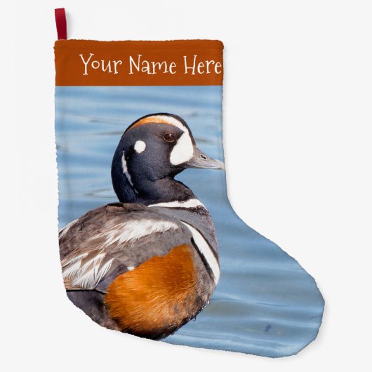 Schöne Harlequin Duck am Strand Großer Weihnachtsstrumpf (Vorderseite)