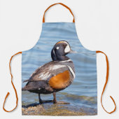 Schöne Harlequin Duck am Strand Schürze (Vorderseite)