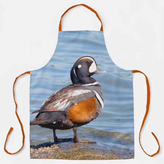 Schöne Harlequin Duck am Strand Schürze (Vorderseite)