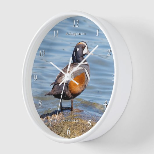 Schöne Harlequin Duck on Beach Shoes Uhr (Winkel)