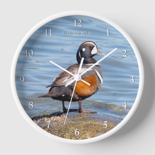 Schöne Harlequin Duck on Beach Shoes Uhr (Vorderseite)
