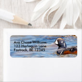 Schöne Harlequin-Ente am Felsen (Insitu)