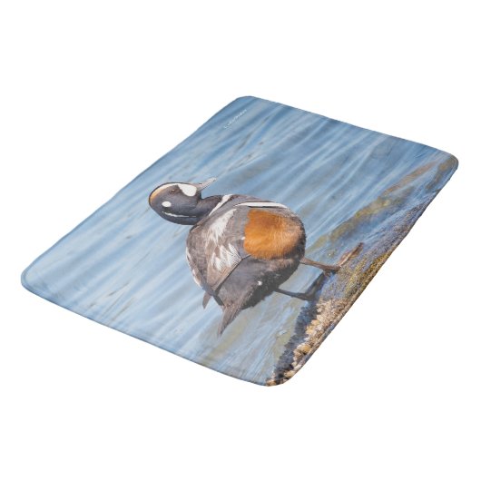 Schöne Harlequin-Ente am Felsen Badematte (Schrägansicht)