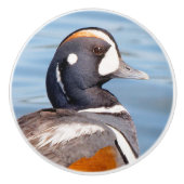 Schöne Harlequin-Ente am Felsen Keramikknauf (Vorderseite)