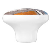 Schöne Harlequin-Ente am Felsen Keramikknauf (Seitenansicht)