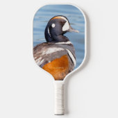 Schöne Harlequin-Ente am Felsen Pickleball Schläger (Vorderseite)