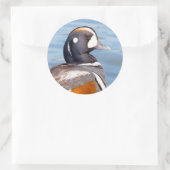 Schöne Harlequin-Ente am Felsen Runder Aufkleber (Tasche)