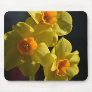Schöne helle Farbe gelbe Narzissenblume Mousepad