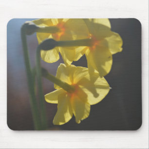 Schöne helle gelbe Narzissenblume Mousepad