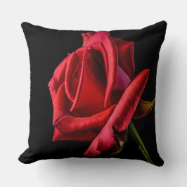 Schöne helle Rote Rose geschlossen Kissen