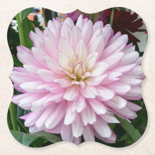 Schöne hellpurpurne Dahlie-Blume Untersetzer