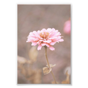 Schöne hellrosa Blume Blossom Blumenstrauß Fotodruck