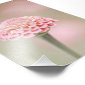 Schöne hellrosa Blume Blossom Blumenstrauß Fotodruck (Ecke)