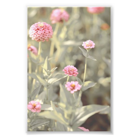 Schöne hellrosa Blume Blossom Blumenstrauß Fotodruck (Vorne)