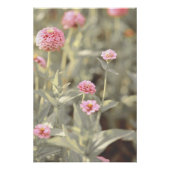 Schöne hellrosa Blume Blossom Blumenstrauß Poster (Vorderseite)