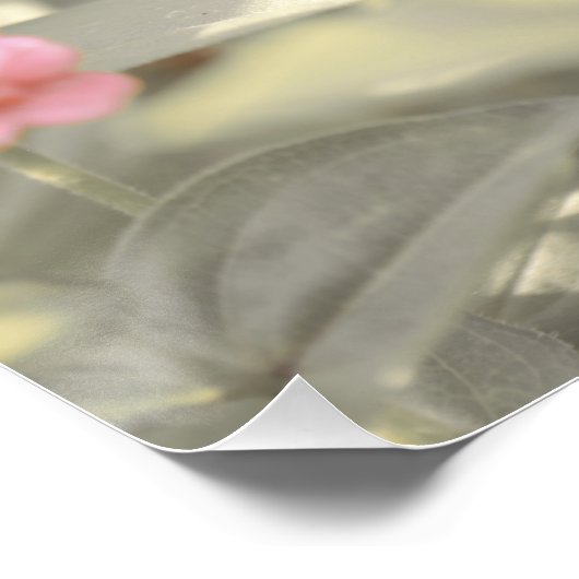 Schöne hellrosa Blume Blossom Blumenstrauß Poster (Ecke)