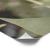 Schöne hellrosa Blume Blossom Blumenstrauß Poster (Ecke)