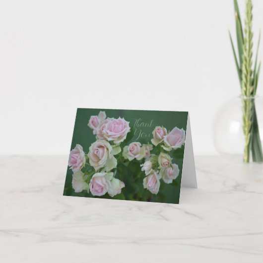 Schöne hellrosa Gartenrosen Dankeskarte (Vorderseite)