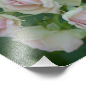 Schöne hellrosa Rose Fotodruck (Ecke)