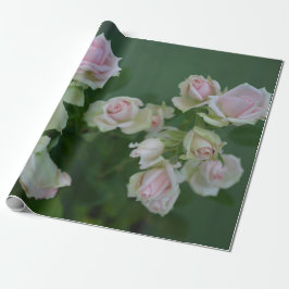 Schöne hellrosa Rose Geschenkpapier