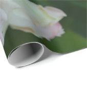 Schöne hellrosa Rose Geschenkpapier (Rolleneckpunkt)