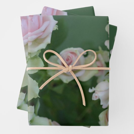 Schöne hellrosa Rose Geschenkpapier Set (Beispiel)
