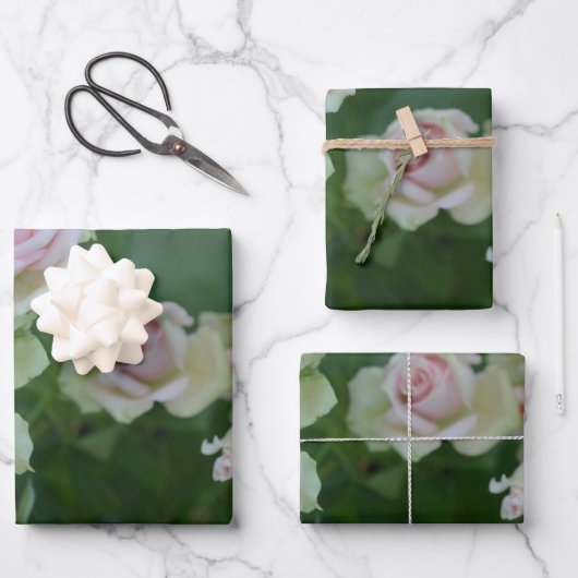 Schöne hellrosa Rose Geschenkpapier Set (Vorderseite)