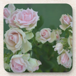 Schöne hellrosa Rose Getränkeuntersetzer