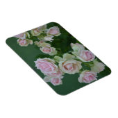 Schöne hellrosa Rose Magnet (Rechte Seite)