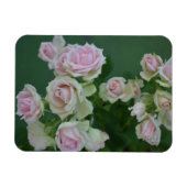 Schöne hellrosa Rose Magnet (Horizontal)