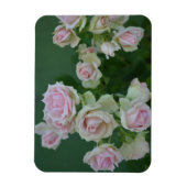Schöne hellrosa Rose Magnet (Vertikal)