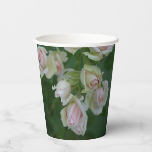 Schöne hellrosa Rose Pappbecher (Rückseite)