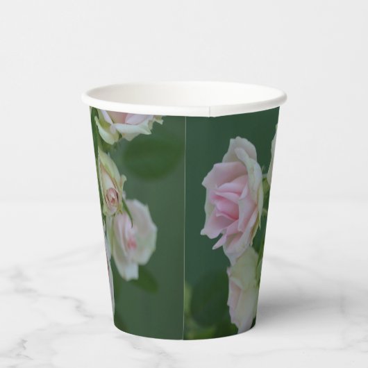 Schöne hellrosa Rose Pappbecher (Rechts)