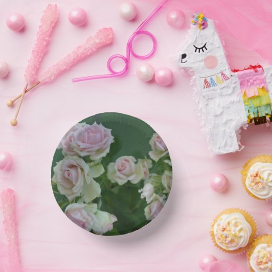 Schöne hellrosa Rose Pappteller (Party)