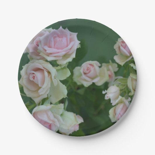 Schöne hellrosa Rose Pappteller (Vorderseite)