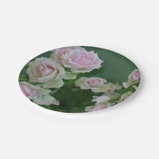 Schöne hellrosa Rose Pappteller (Schrägansicht)