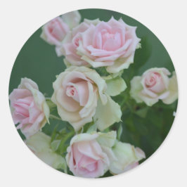 Schöne hellrosa Rose Runder Aufkleber
