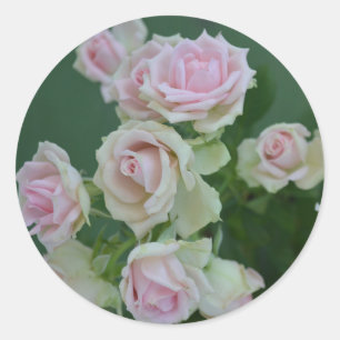 Schöne hellrosa Rose Runder Aufkleber