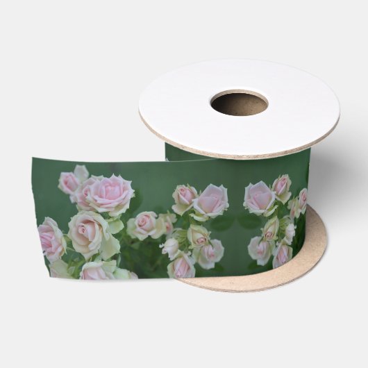 Schöne hellrosa Rose Satinband (Spule)