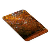 Schöne Herbstbäume Magnet (Rechte Seite)