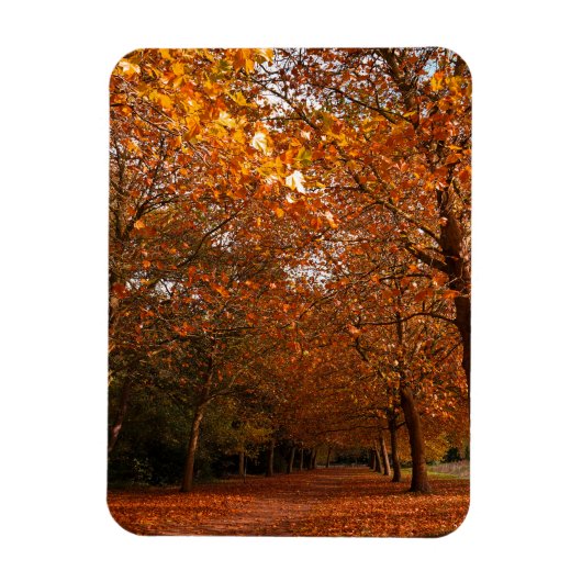 Schöne Herbstbäume Magnet (Vertikal)