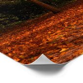 Schöne Herbstbäume Poster (Ecke)