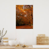 Schöne Herbstbäume Poster (Küche)