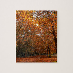 Schöne Herbstbäume Puzzle