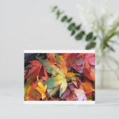 Schöne Herbstblätter drucken Postkarte (Stehend Vorderseite)